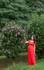 Pregnant woman in red dress in the park.