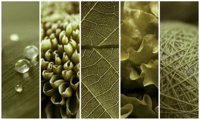 Beautiful collage of green color