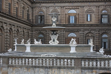 View of the Palazzo Pitti in Florence - Italy with some amasing details.
