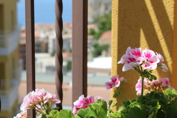 Scorcio di paradiso...