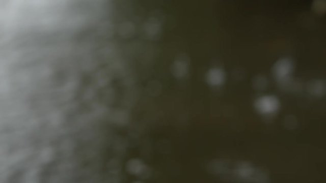 Light rain