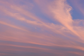 Light after rain in the evening air