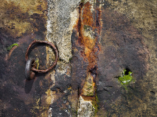 Rusted background
