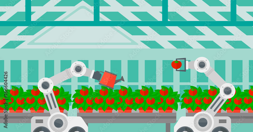 Poster robot picking tomatoes in greenhouse. robot working in a greenhouse. robot harvesting tomatoes in gr