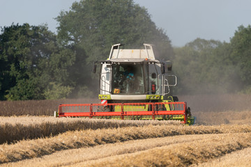 Fototapeta premium Mähdrescher
