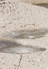 Bubbling mudpot in the Fountain Paint Pots of Yellowstone National Park, Wyoming