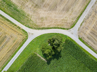 Aerial view of path through fields
