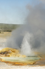 Spasm Geyer erupting and fuming in Fountain Paint Pots area in Yellowstone National Park, Wyoming