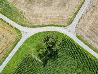 Aerial view of path through fields