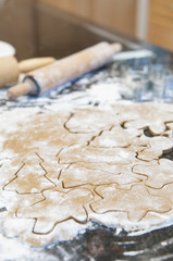 Making holiday gingerbread cookies
