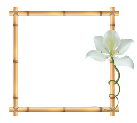 Realistic bamboo frame with bauhinia (orchid) flower.