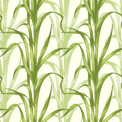Seamless pattern with medical plants
