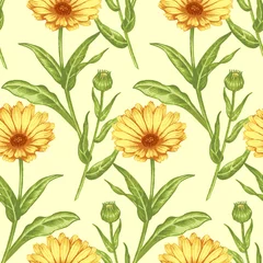 Nahtloses Muster mit Heilpflanzen © marinavorona