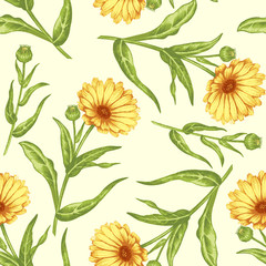 Seamless pattern with medical plants
