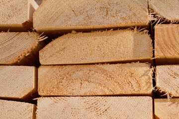 Just Cut Pine Planks