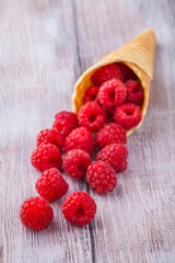 Sugar waffle cone with forest berries Vertically