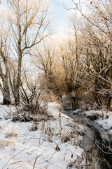 Beautiful winter scene with creek