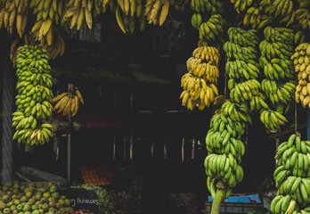 Bananas hanging from a store in India © Jeswin