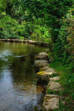 rivière et pas japonnais