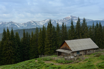 Farm in the Carpathians on the background of snow-capped mountains.
