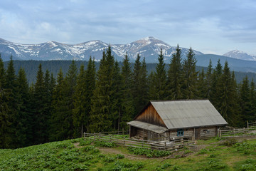 Fototapeta na wymiar Farm in the Carpathians on the background of snow-capped mountains. 