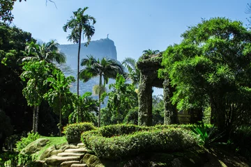 Tuinposter Jardim Botanico, Rio de Janeiro © barkstudio
