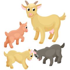 Adult goat with tree young goats on the white background / There are cute family of goats on the white background. Goats are in the different poses
