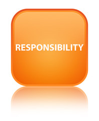 Responsibility special orange square button