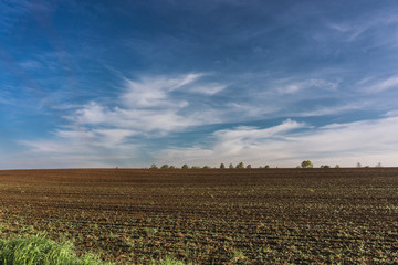 ein bestelltes Feld im Frühling
