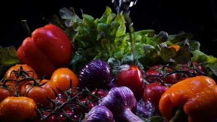 Amazing rich flowing and splashing on fresh vegetables, laying on black background in back-light. Excellent slow motion for vibrant intro in full HD. Shooting with high-speed, 240fps, camera. - Powered by Adobe