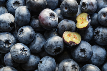Blueberry background