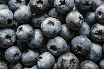 Blueberry background