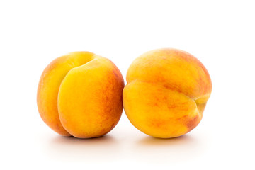 Two ripe apricot isolated.