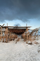 Fototapeta na wymiar Wooden racks for drying skrei-codfish into stockfish. Toppoya island-Hamnoy-Reine-Moskenes-Lofoten-Norway. 0218