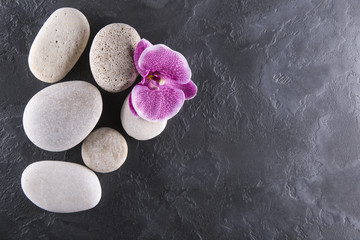 Fototapeta na wymiar Lilac orchids and white stones lie on black marble. Spa.