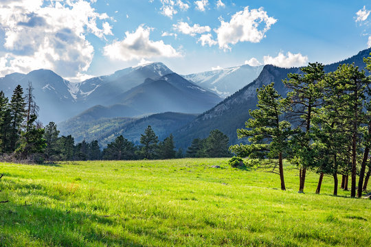 Fototapeta Meadow in Rocky Mountain National Park