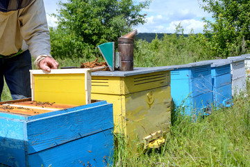 The beekeeper places the hive a new framework for honey. Honeycomb. Apiculture.
