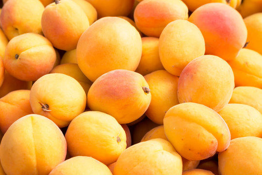 Ripe apricots on the market. 