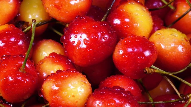 Excellent side view close up of red and yellow fresh sweet cherries with stems in water drops, rotating clockwise. Yummy berries with amazing texture in 4k clip. Vibrant eco product for healthy food.