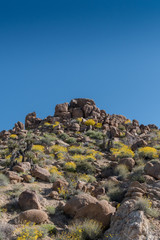 Mound of Desert Boulders