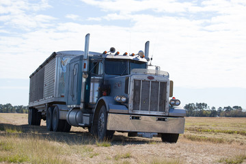 Semi Truck with Trailer