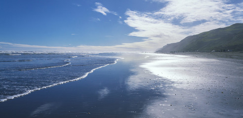 Kariotahi Beach Auckland, New Zealand