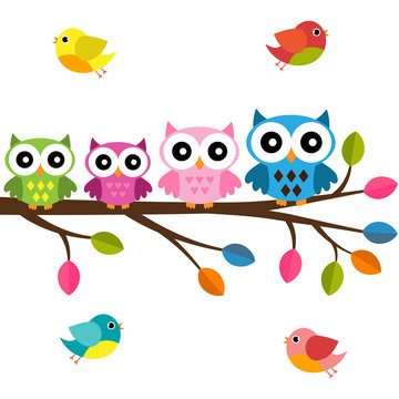 Four owls on a branch with birds