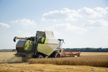 Working combine harvester in a wheat field. Agricultural background.