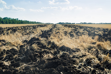 Plowed field furrows after wheat
