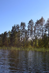 Fototapeta na wymiar lake in Sweden