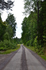Fototapeta na wymiar Roads in forest in Sweden