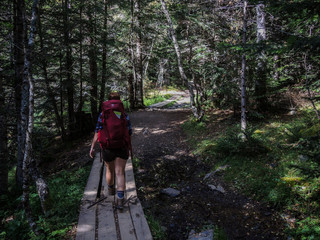 Obraz premium Sommer in Europa