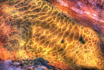 Hot Spring Background