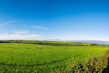 Fototapeta na wymiar panoramic view of summer countryside,Northern Ireland